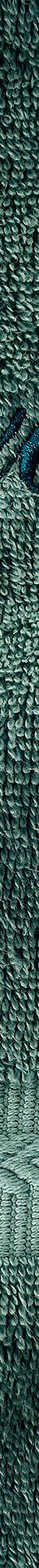 Collection serviettes de bain personnalisables confort moelleux (eucalyptus) Collection serviettes de bain personnalisables confort moelleux (eucalyptus)